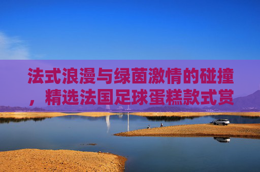 法式浪漫与绿茵激情的碰撞,精选法国足球蛋糕款式赏析