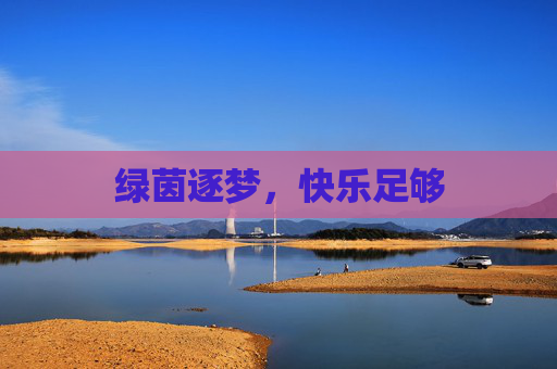 绿茵逐梦，快乐足够