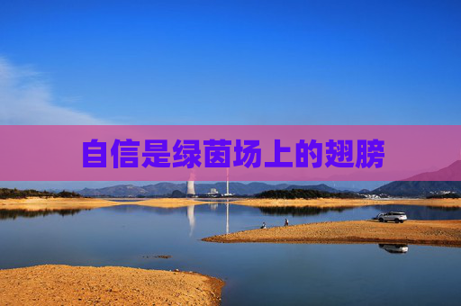 自信是绿茵场上的翅膀