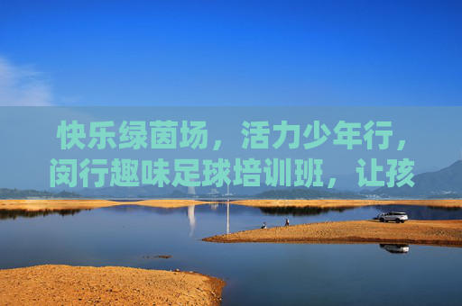 快乐绿茵场，活力少年行，闵行趣味足球培训班，让孩子爱上运动！