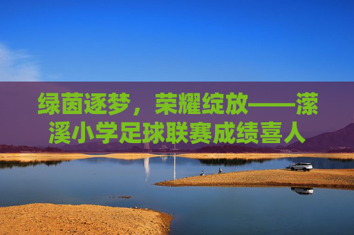 绿茵逐梦，荣耀绽放——潆溪小学足球联赛成绩喜人
