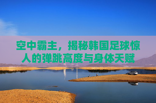 空中霸主,揭秘韩国足球惊人的弹跳高度与身体天赋