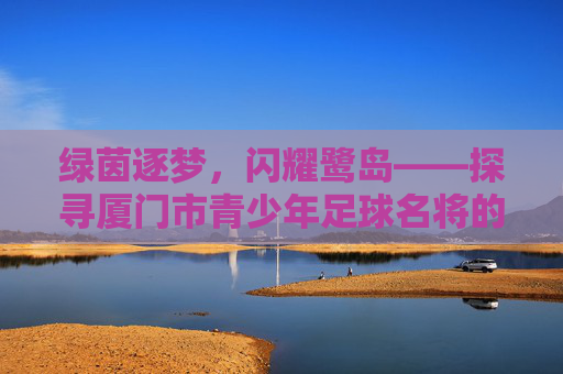 绿茵逐梦，闪耀鹭岛——探寻厦门市青少年足球名将的成长之路