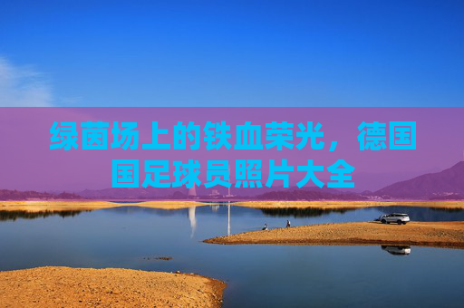 绿茵场上的铁血荣光,德国国足球员照片大全