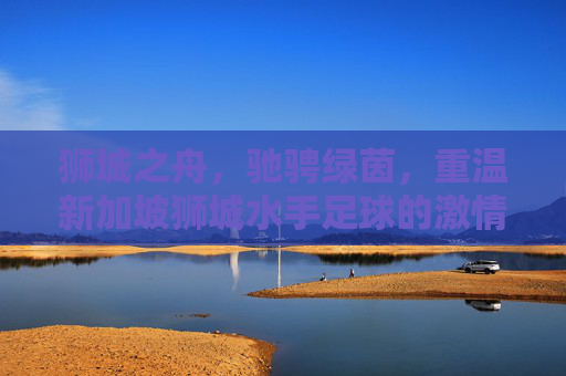 狮城之舟，驰骋绿茵，重温新加坡狮城水手足球的激情与荣耀