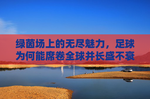 绿茵场上的无尽魅力，足球为何能席卷全球并长盛不衰？