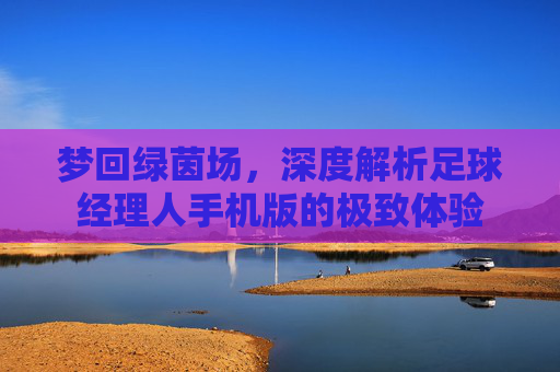 梦回绿茵场,深度解析足球经理人手机版的极致体验