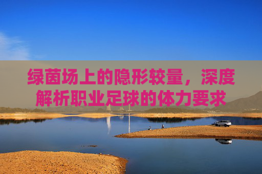 绿茵场上的隐形较量，深度解析职业足球的体力要求