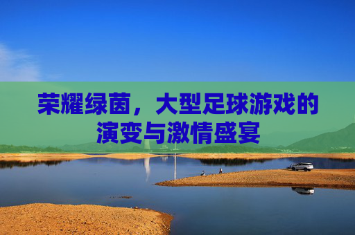 荣耀绿茵,大型足球游戏的演变与激情盛宴