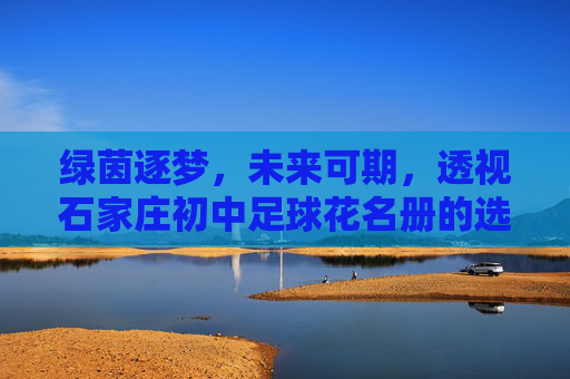 绿茵逐梦，未来可期，透视石家庄初中足球花名册的选拔与培养