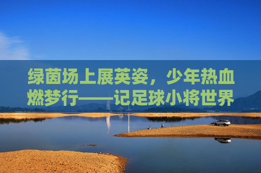 绿茵场上展英姿，少年热血燃梦行——记足球小将世界杯学生版激情开赛