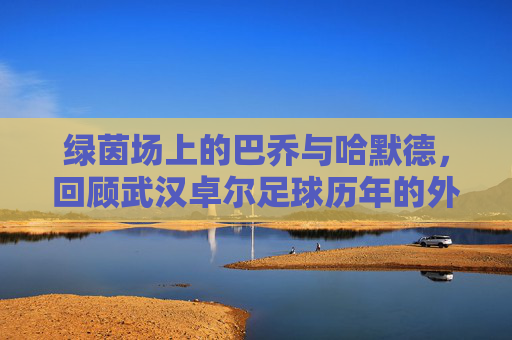 绿茵场上的巴乔与哈默德，回顾武汉卓尔足球历年的外援风云