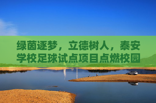 绿茵逐梦，立德树人，泰安学校足球试点项目点燃校园新活力