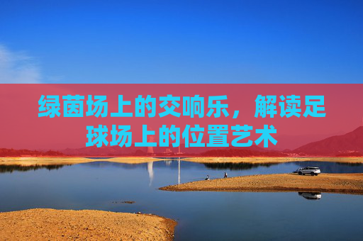 绿茵场上的交响乐，解读足球场上的位置艺术