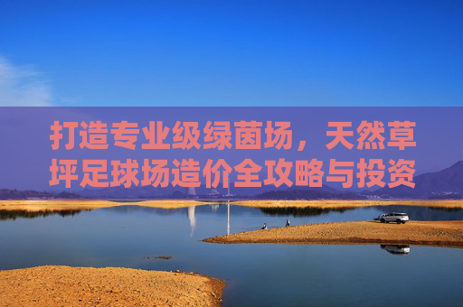 打造专业级绿茵场，天然草坪足球场造价全攻略与投资回报分析