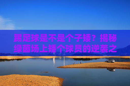 踢足球是不是个子矮？揭秘绿茵场上矮个球员的逆袭之路