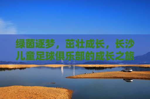 绿茵逐梦，茁壮成长，长沙儿童足球俱乐部的成长之旅