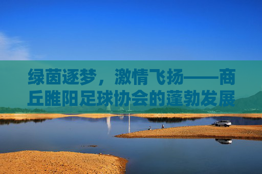 绿茵逐梦，激情飞扬——商丘睢阳足球协会的蓬勃发展之路