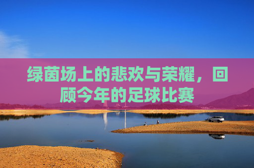 绿茵场上的悲欢与荣耀，回顾今年的足球比赛