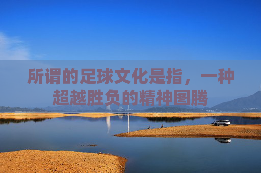 所谓的足球文化是指，一种超越胜负的精神图腾