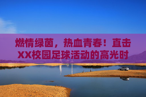 燃情绿茵，热血青春！直击XX校园足球活动的高光时刻