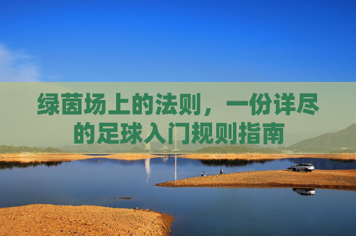绿茵场上的法则，一份详尽的足球入门规则指南