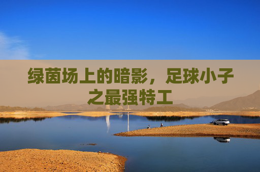 绿茵场上的暗影，足球小子之最强特工