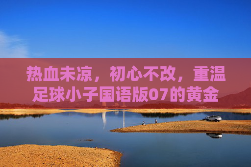 热血未凉，初心不改，重温足球小子国语版07的黄金岁月