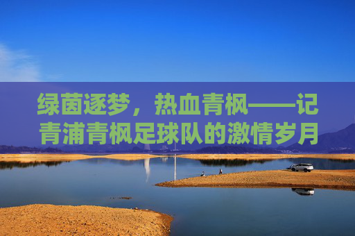 绿茵逐梦，热血青枫——记青浦青枫足球队的激情岁月