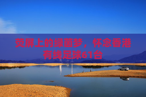 荧屏上的绿茵梦，怀念香港有线足球61台