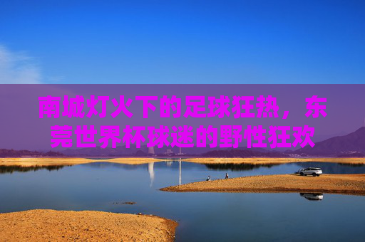 南城灯火下的足球狂热，东莞世界杯球迷的野性狂欢