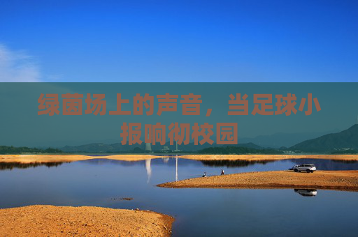绿茵场上的声音，当足球小报响彻校园