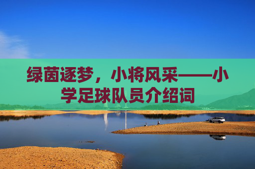 绿茵逐梦，小将风采——小学足球队员介绍词