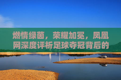 燃情绿茵，荣耀加冕，凤凰网深度评析足球夺冠背后的荣光与新生