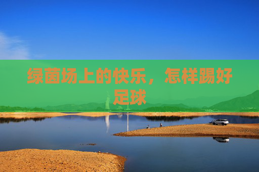 绿茵场上的快乐，怎样踢好足球