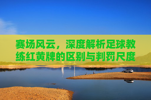 赛场风云，深度解析足球教练红黄牌的区别与判罚尺度