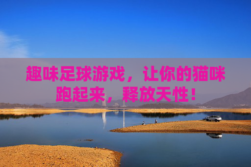趣味足球游戏，让你的猫咪跑起来，释放天性！