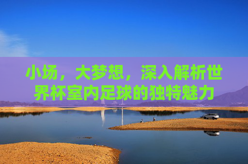 小场，大梦想，深入解析世界杯室内足球的独特魅力