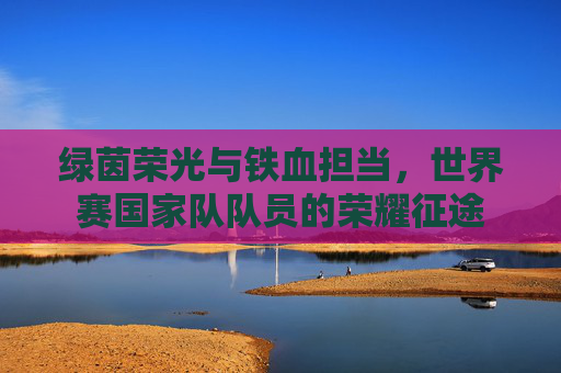 绿茵荣光与铁血担当，世界赛国家队队员的荣耀征途