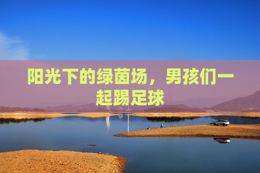 阳光下的绿茵场，男孩们一起踢足球