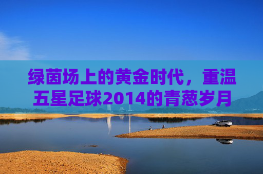 绿茵场上的黄金时代，重温五星足球2014的青葱岁月