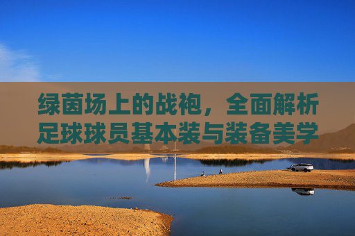 绿茵场上的战袍，全面解析足球球员基本装与装备美学