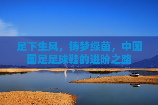 足下生风，铸梦绿茵，中国国足足球鞋的进阶之路