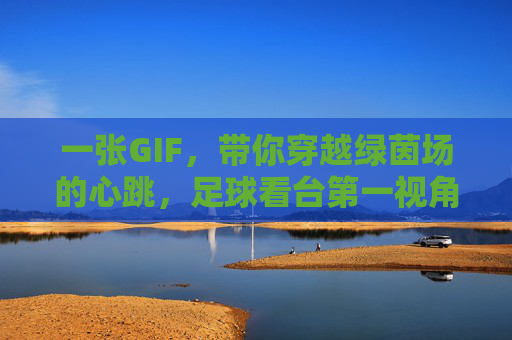 一张GIF，带你穿越绿茵场的心跳，足球看台第一视角里的热血与深情