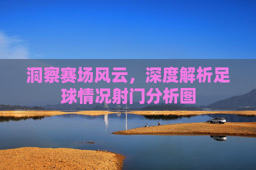 洞察赛场风云，深度解析足球情况射门分析图