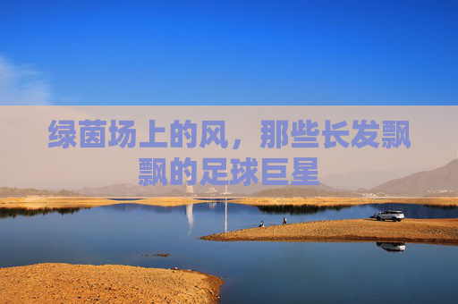 绿茵场上的风，那些长发飘飘的足球巨星