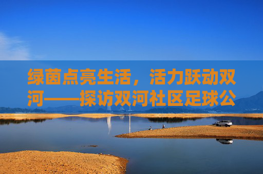 绿茵点亮生活，活力跃动双河——探访双河社区足球公园