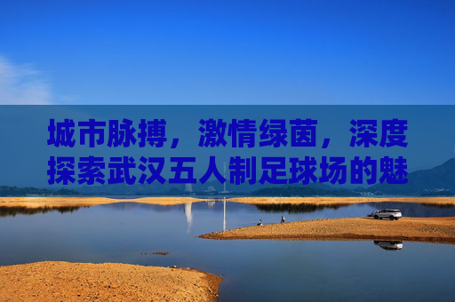 城市脉搏，激情绿茵，深度探索武汉五人制足球场的魅力