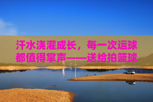 汗水浇灌成长，每一次运球都值得掌声——送给拍篮球孩子的表扬语录