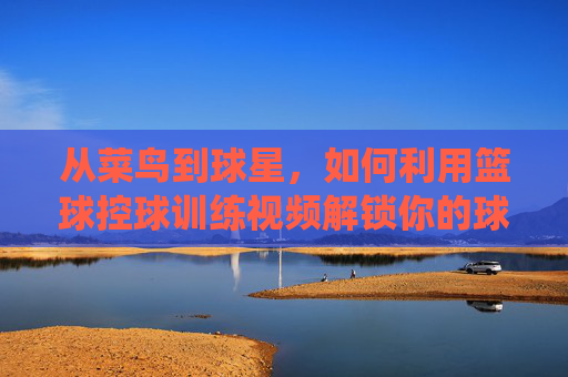 从菜鸟到球星，如何利用篮球控球训练视频解锁你的球场统治力